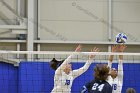 VB vs Gordon  Wheaton Women's Volleyball vs Gordon College. - Photo by Keith Nordstrom : Wheaton, Volleyball